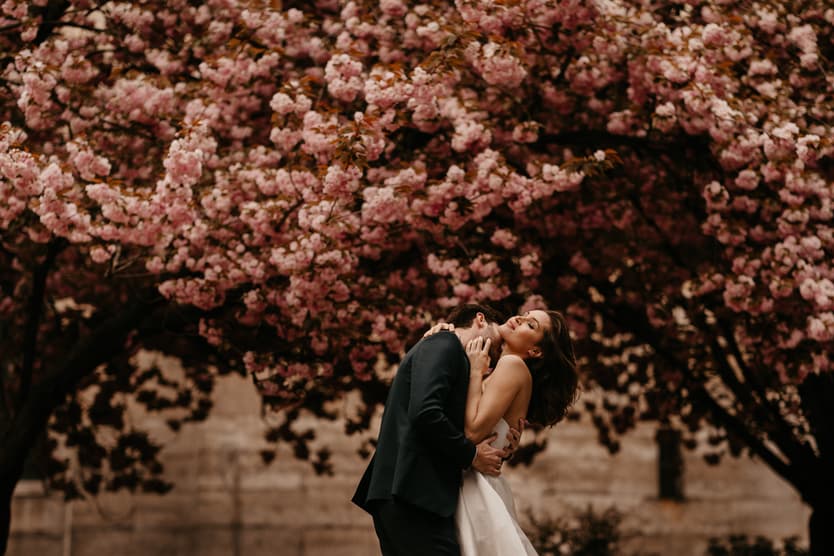 Couple elopement under cherry blossoms in Paris