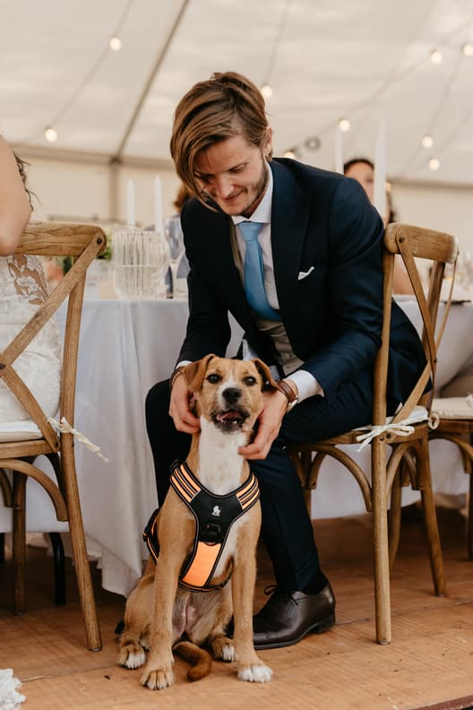 groom with dog on wedding day celebrations