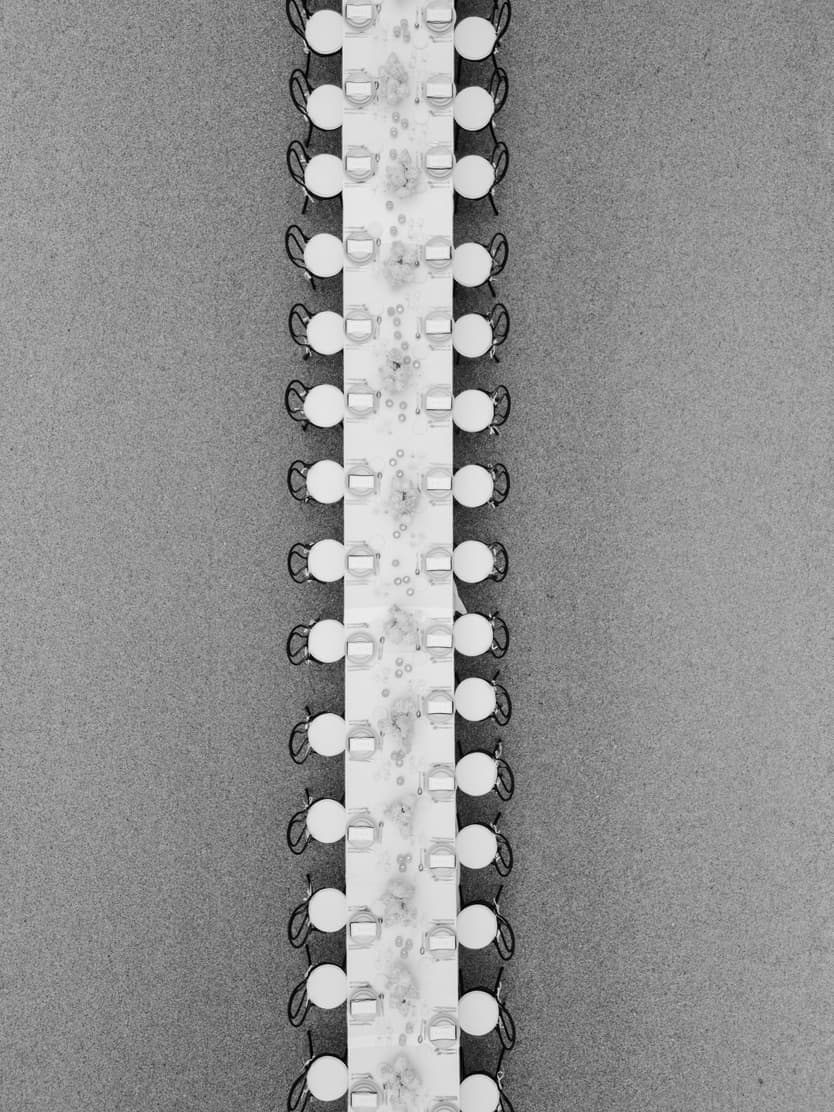 The long wedding dinner table from straight above in black and white, guests seated down both sides